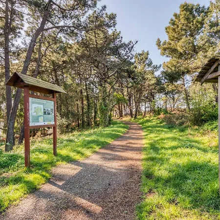 Apartmán Nice With Spacious Terrace And Beautiful Views Of The Atlantic Ocean Mera